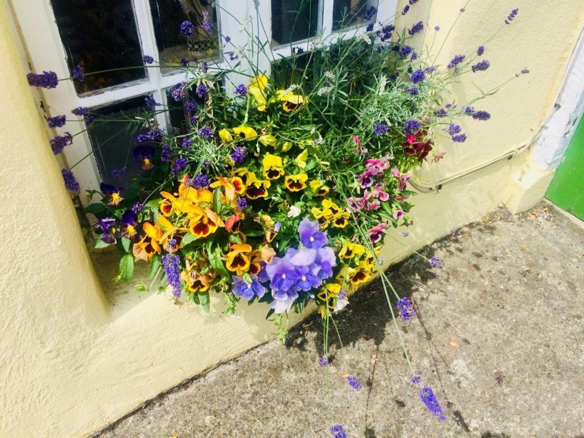 The Tower House B&B Thomastown  Eksteriør bilde